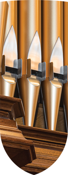 Close-up view of organ pipes
